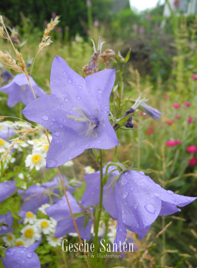 Im Garten meiner Oma - Ein Aquarell-Strauß aus ...